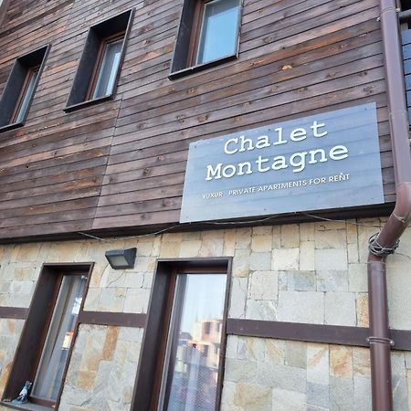 Chalet Montagne Bansko Apartment Екстер'єр фото